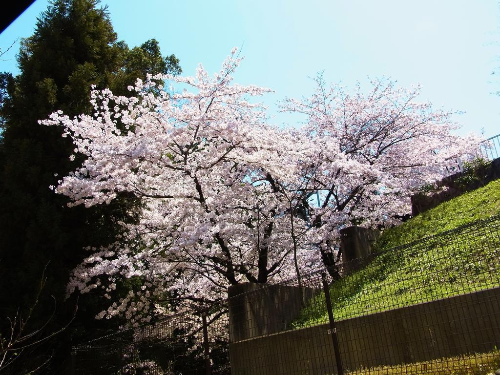 Guesthouse Engawa Kyoto Oda fotoğraf
